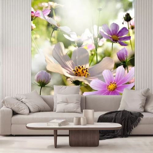 Fototapete Blumenwiese und Sonne