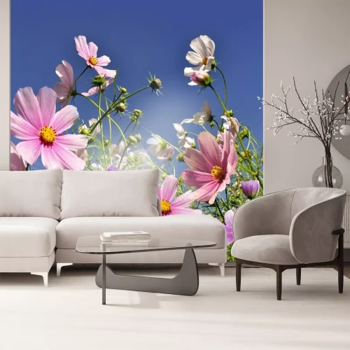 Fototapete Blumenwiese bunt