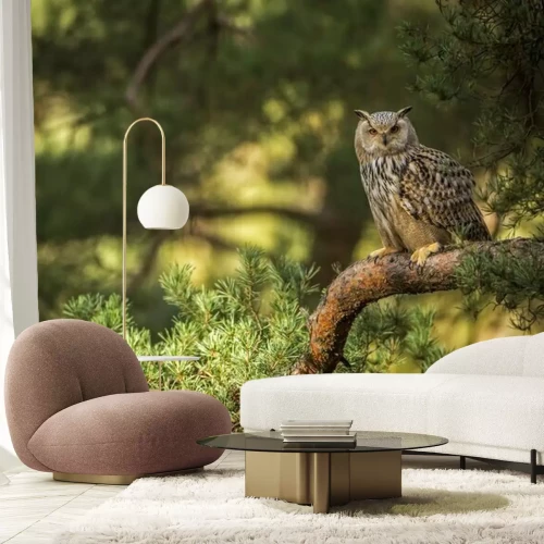 Fototapete Braune Eule auf einem Waldast