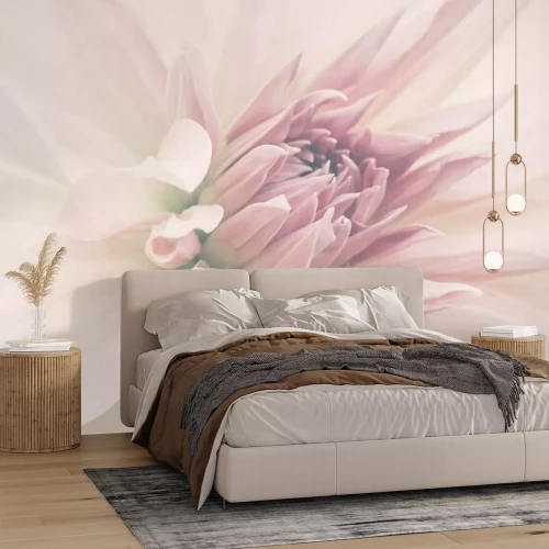 Fototapete Nahaufnahme einer rosa Blume