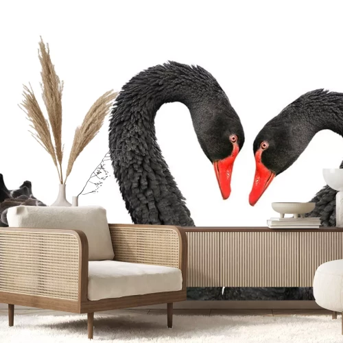 Sticker Wide Tiere verliebtes Paar schwarzer Schwäne