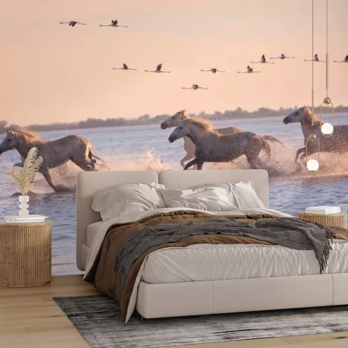 Fototapete Rennende weiße Pferde durch das Wasser