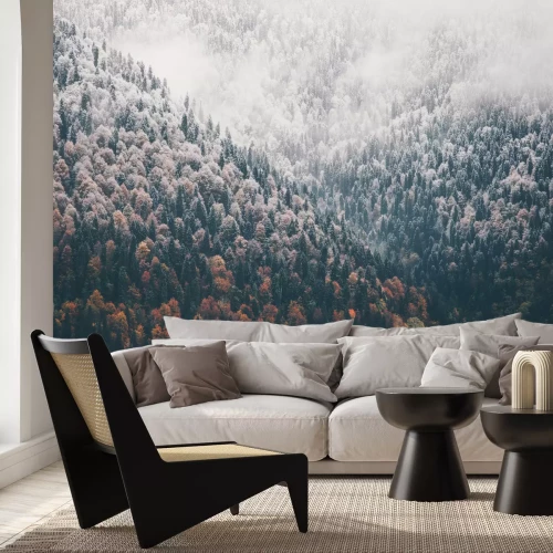 Fototapete Frühwinterwald