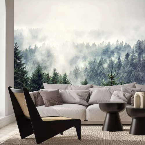 Fototapete Aussicht auf nebligen Wald
