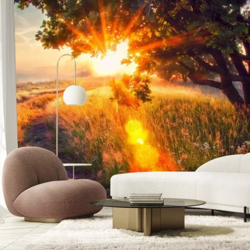 Fototapete Panorama einer Wiese am Morgen mit Sonnenstrahlen