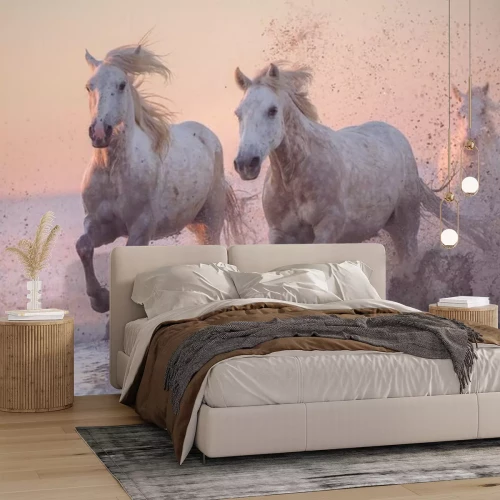 Fototapete Pferde mit pastellfarbenem himmel im hintergrund