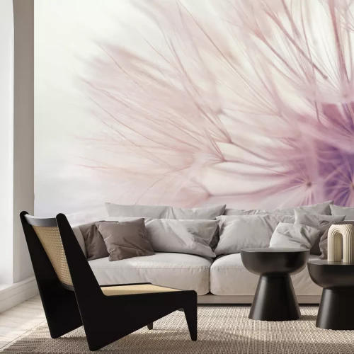 Fototapete Makroaufnahme eines Löwenzahns vor unscharfem Hintergrund