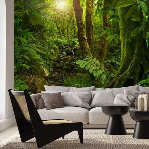 Fototapete Dichte Vegetation im Dschungel
