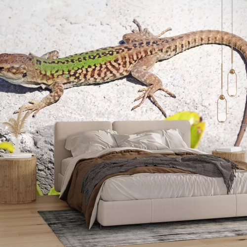 Sticker Tiere Eidechse auf Steinboden