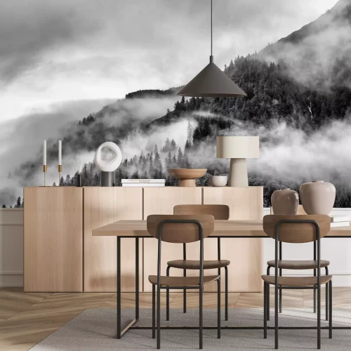 Fototapete Nebel wald Schwarzweißer