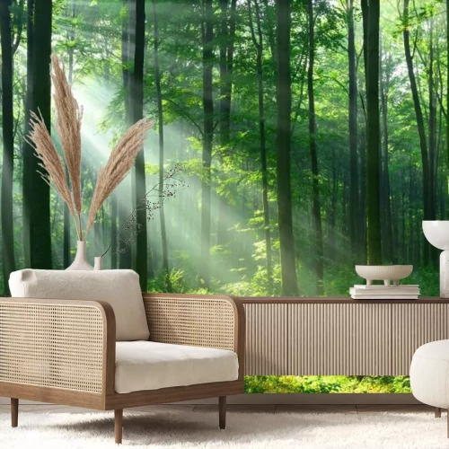 Fototapete Waldlandschaft mit Sonnenstrahlen zwischen den Bäumen