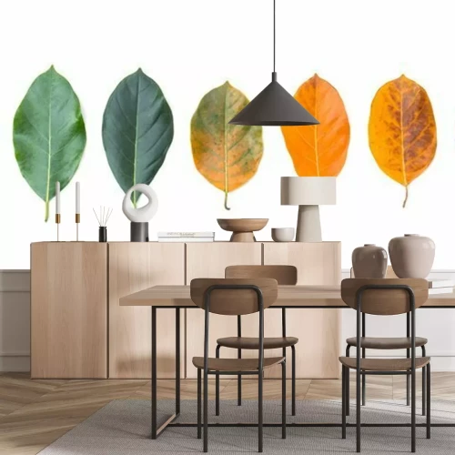 Sticker Nahaufnahmegitter in der unterschiedlichen Farbe und im Alter der Jackfruitbaumblätter. Linie von bunten Blättern in der Herbstsaison. Für die Umwelt verändertes Konzept. Draufsicht oder Ebene legen H