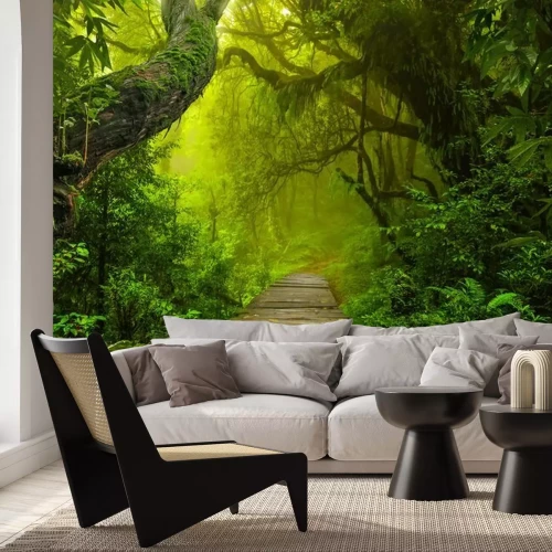 Fototapete Grüner regenwald