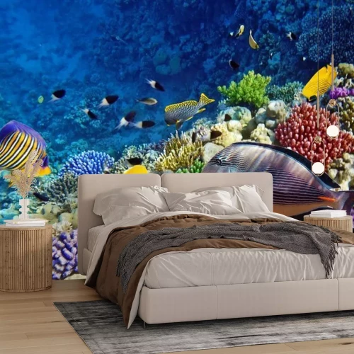 Fototapete Fische Meer Roten