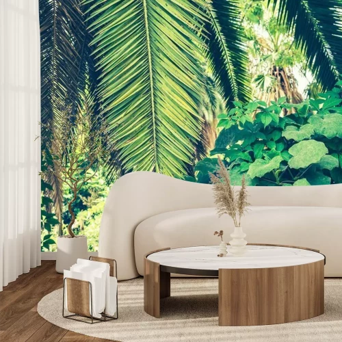 Fototapete Tropischer Hintergrund von Palmblättern