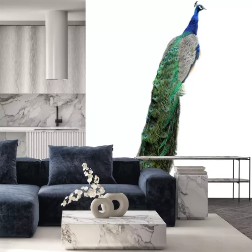 Sticker Pfau mit einem langen farbigen Schwanz