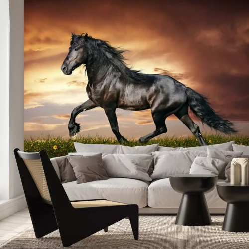 Fototapete Tiere vor dem Hintergrund der untergehenden Sonne