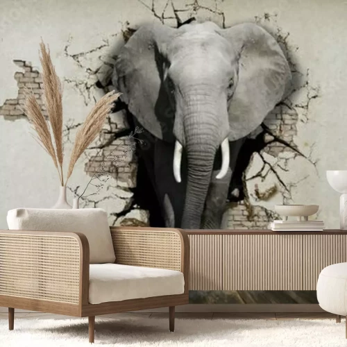 Sticker 3d Tiere Elefant aus der Wand