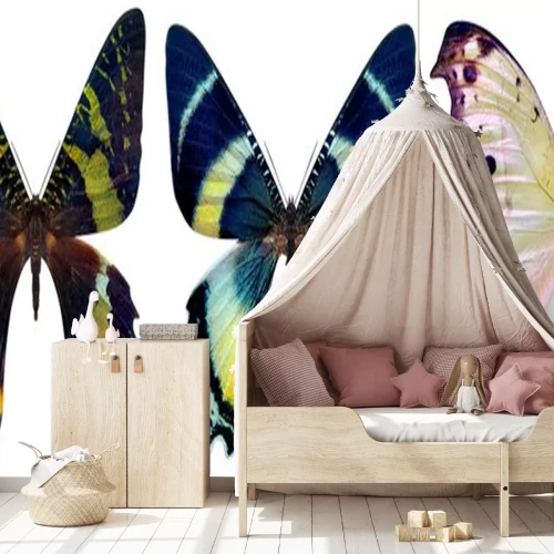 Sticker Drei exotische Schmetterlinge in auffälligen Farben