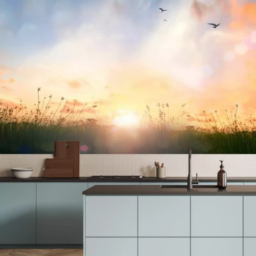 Fototapete Wiese im vollen Sonnenlicht