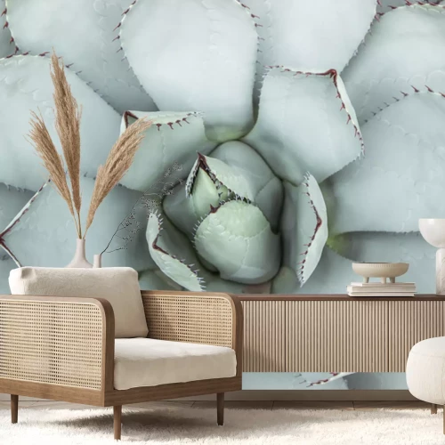 Fototapete Eine Makroaufnahme einer hellgrünen Sukkulente