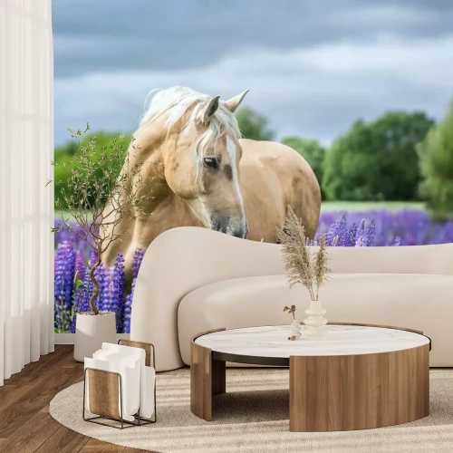 Fototapete Pferd inmitten der violetten blumen