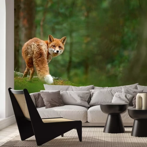 Fototapete Rotes Tier im grünen Wald