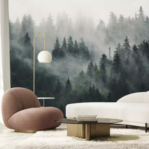 Fototapete Nachmittag im dunklen wald