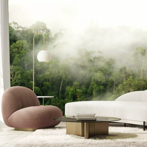 Fototapete Regenwald im nebel
