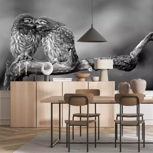 Fototapete Sich umarmende Eulen