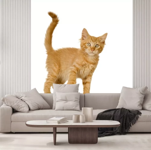 Sticker Haustiere rote Katze mit erhobener Pfote