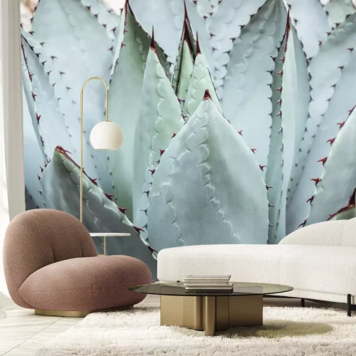 Sticker große grüne Sukkulente mit Dorn