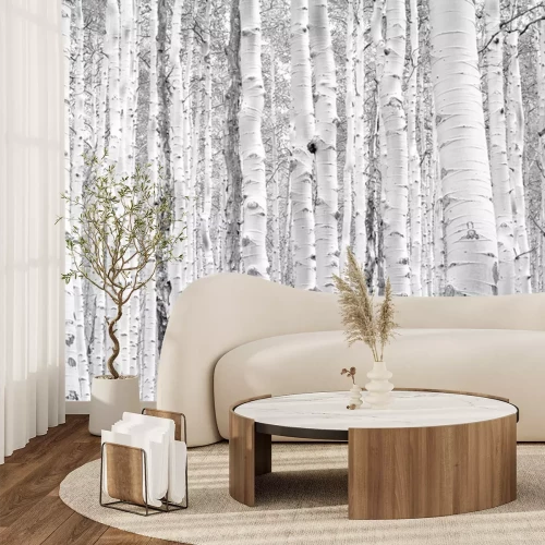 Sticker Zeichnung schwarz-weißer Birkenstämme