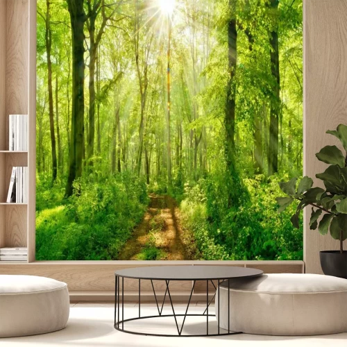 Fototapete Sonne über einem Waldweg