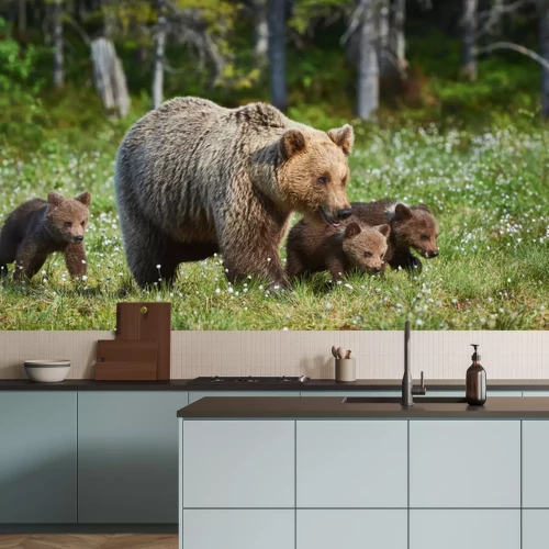 Fototapete Eine Bärenfamilie auf einer Waldlichtung