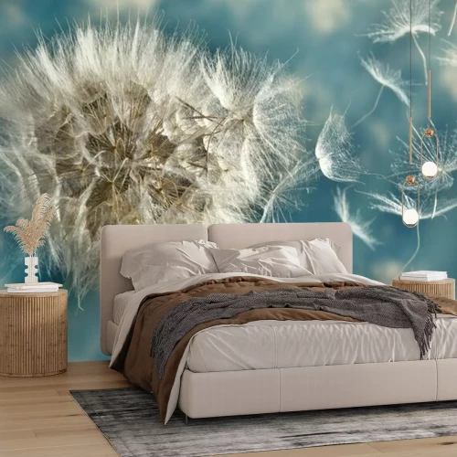 Fototapete Löwenzahn vor blauem Himmel