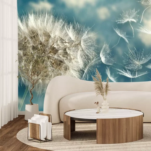 Sticker Löwenzahn vor blauem Himmel