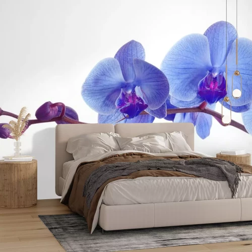 Sticker Blaue Blumen auf einem Zweig