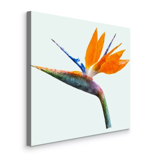 Bild Paradiesvogelblume