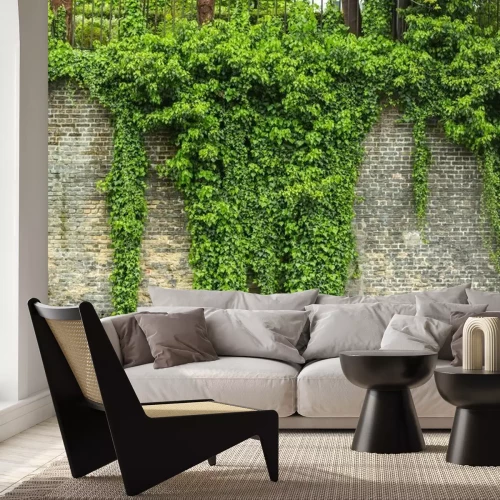 Fototapete Grüner Efeu klettert die Wand hoch