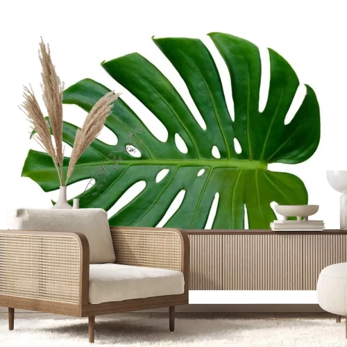 Sticker Monstera verlässt Blätter mit Isolat auf weißem Hintergrund Blätter auf weiß