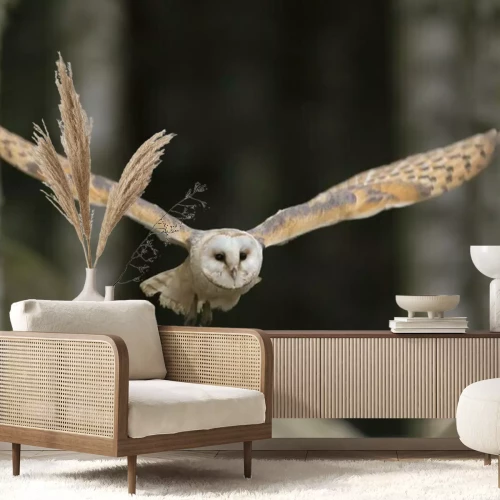 Fototapete Eule mit ausgebreiteten Flügeln