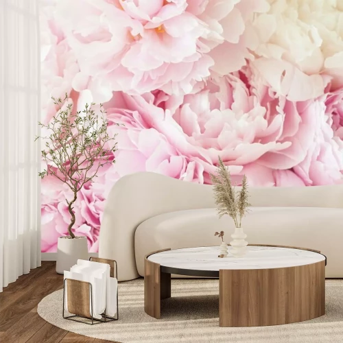 Fototapete Rosa Pfingstrosenblütenblätter Nahaufnahme