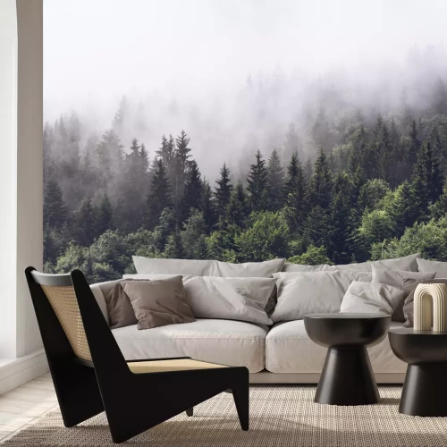 Fototapete Waldäste im Nebel