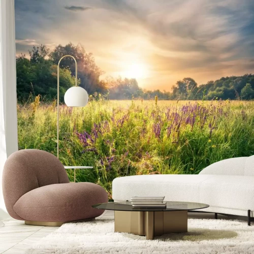 Fototapete Sonnenaufgang auf einer Blumenwiese