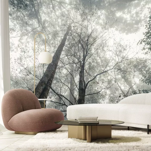 Fototapete Schwarz-weisser Wald im Nebel