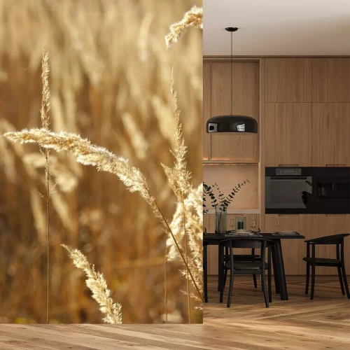 Fototapete Wilde Gräser als Natur