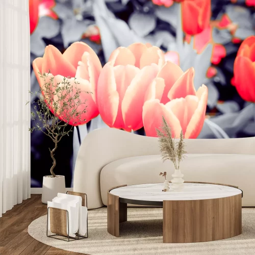 Fototapete Tulpen mit Sepia-Effekt