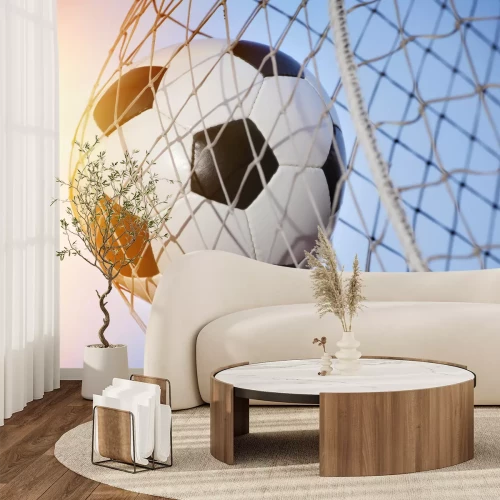 Fototapete Tor Ball im Netz