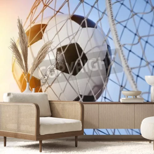 Fototapete Tor Ball im Netz